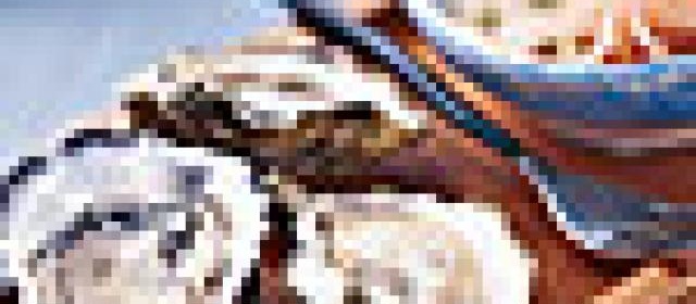 Guacamole on the Half Shell